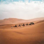 Dubai Desert Adventure – 5N/6D