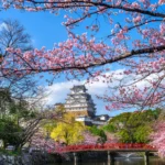 Cherry Blossom Festival Japan – 6 Nights / 7 Days