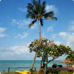 Goa Beach Escape for Couples – 3N/4D