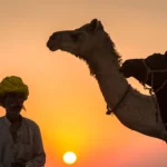 Pushkar Camel Fair Experience – 3N/4D